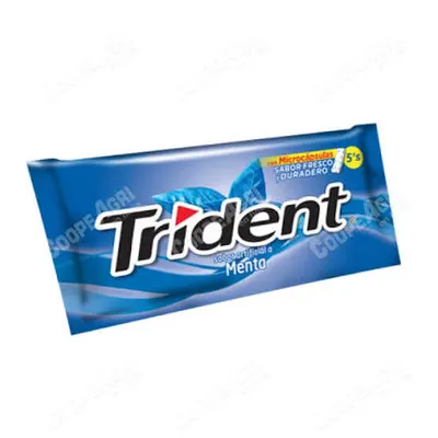 Trident Menta 8.5 g