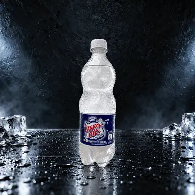 Canada Dry Soda 600 ml