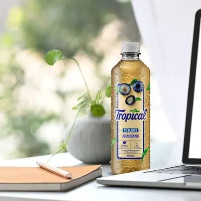 Tropical Té Blanco Arándano 1 L