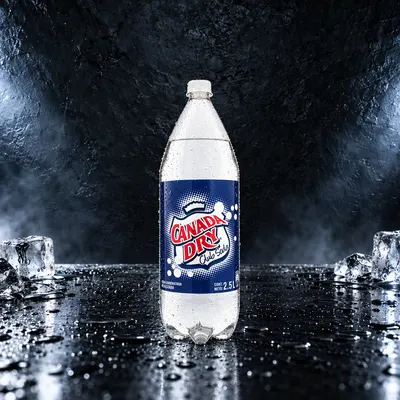 Canada Dry Soda 2.5 L