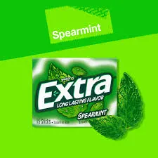 Chicle Extra Spearmint 2.5 g