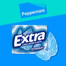 Chicle Extra Peppermint 2.5 g
